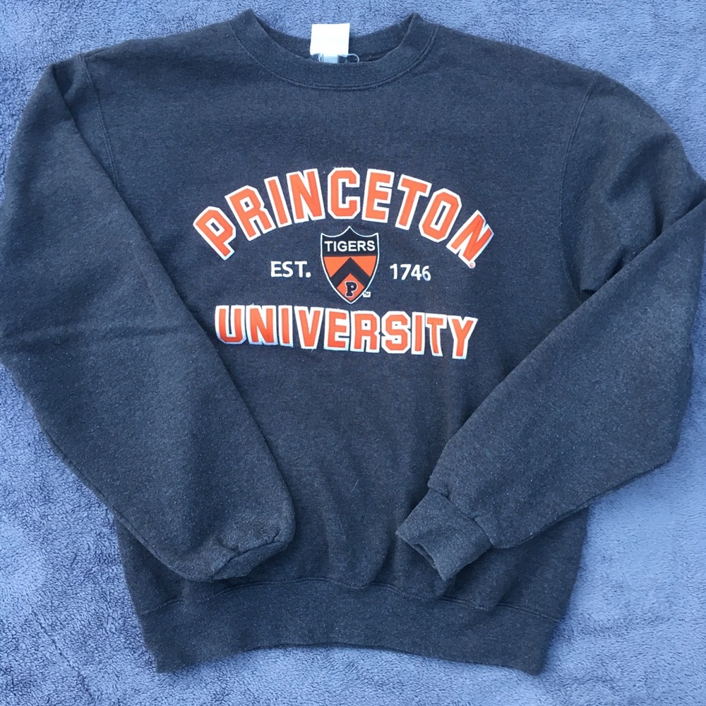 Gray Embroidered Princeton University Sweatshirt